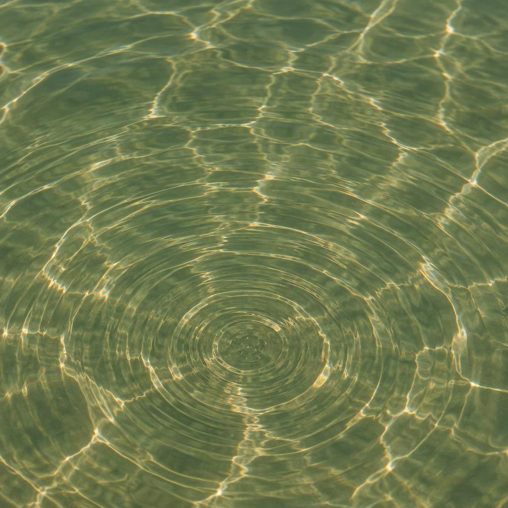 Sunlight catching gentle ripples on a sage-green pond